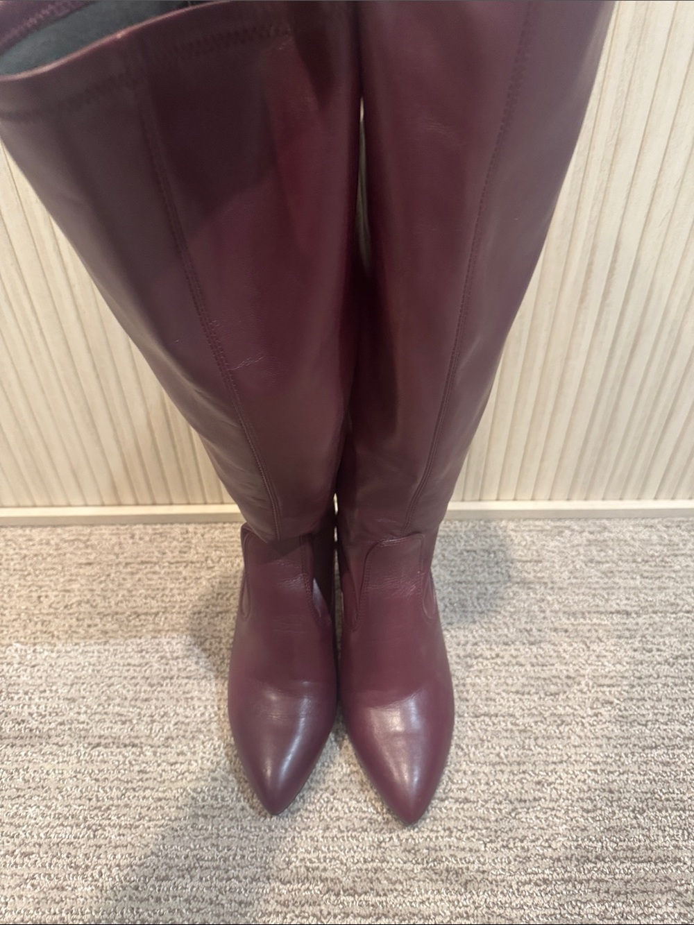 Franco Sarto Tall Pointed-Toe Leather Boots in Burgundy